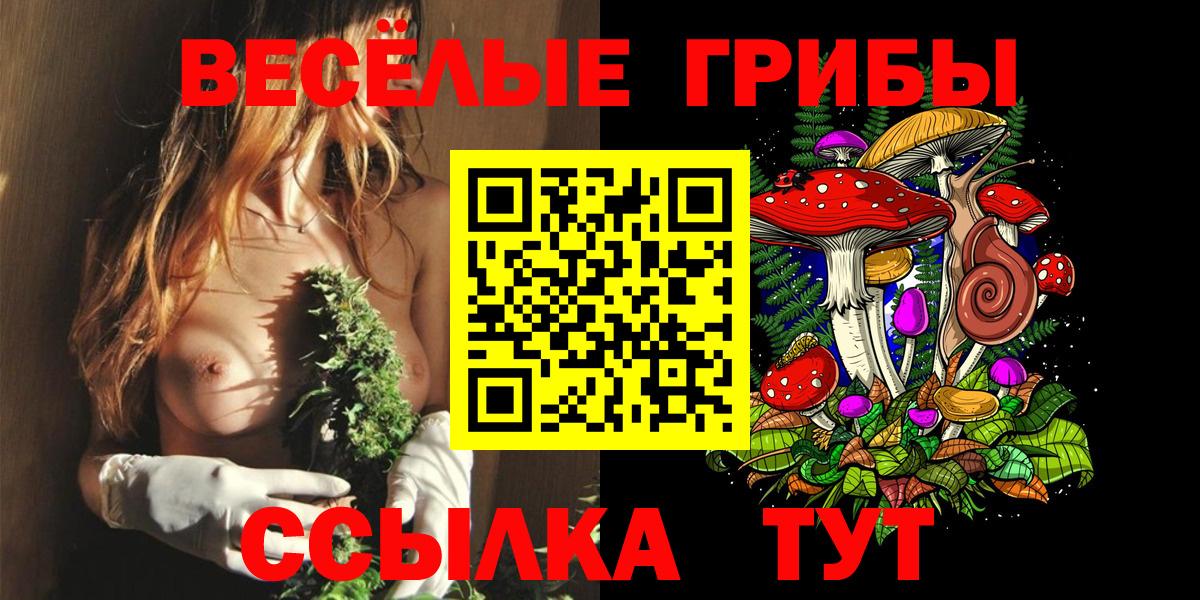 Галлюциногенные грибы Psilocybine cubensis  Псилоцибиновые грибы Magic Shrooms  Вход с VPN  Сунжа 