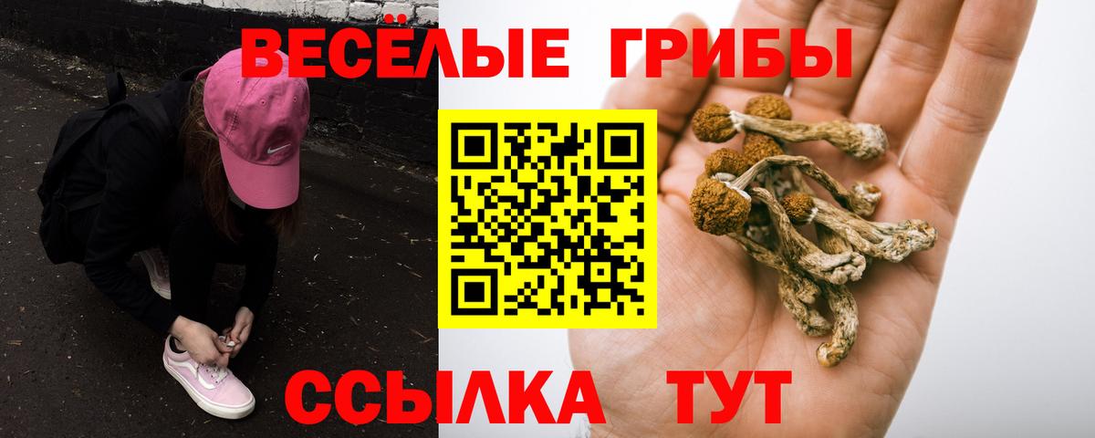 Псилоцибиновые грибы Magic Shrooms Сунжа